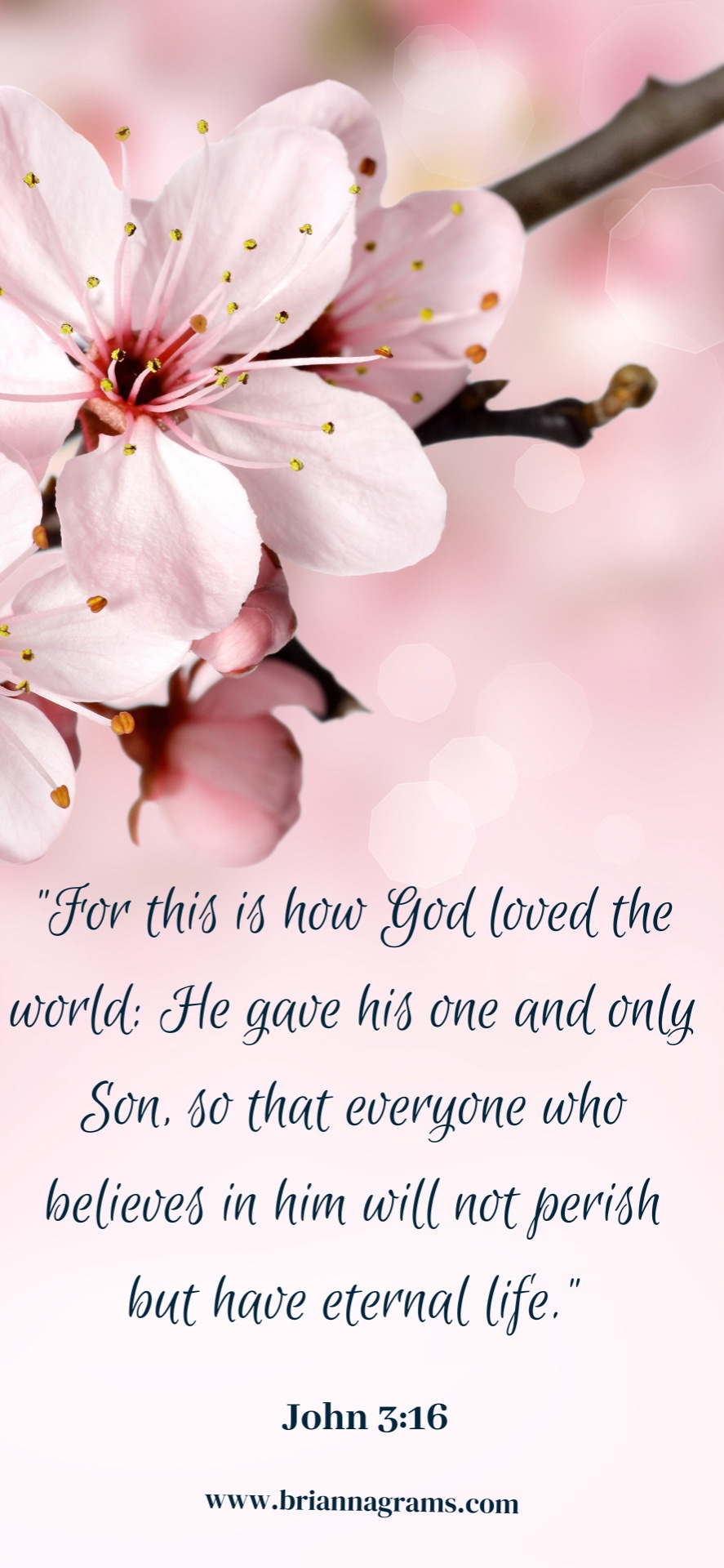 John 3:16