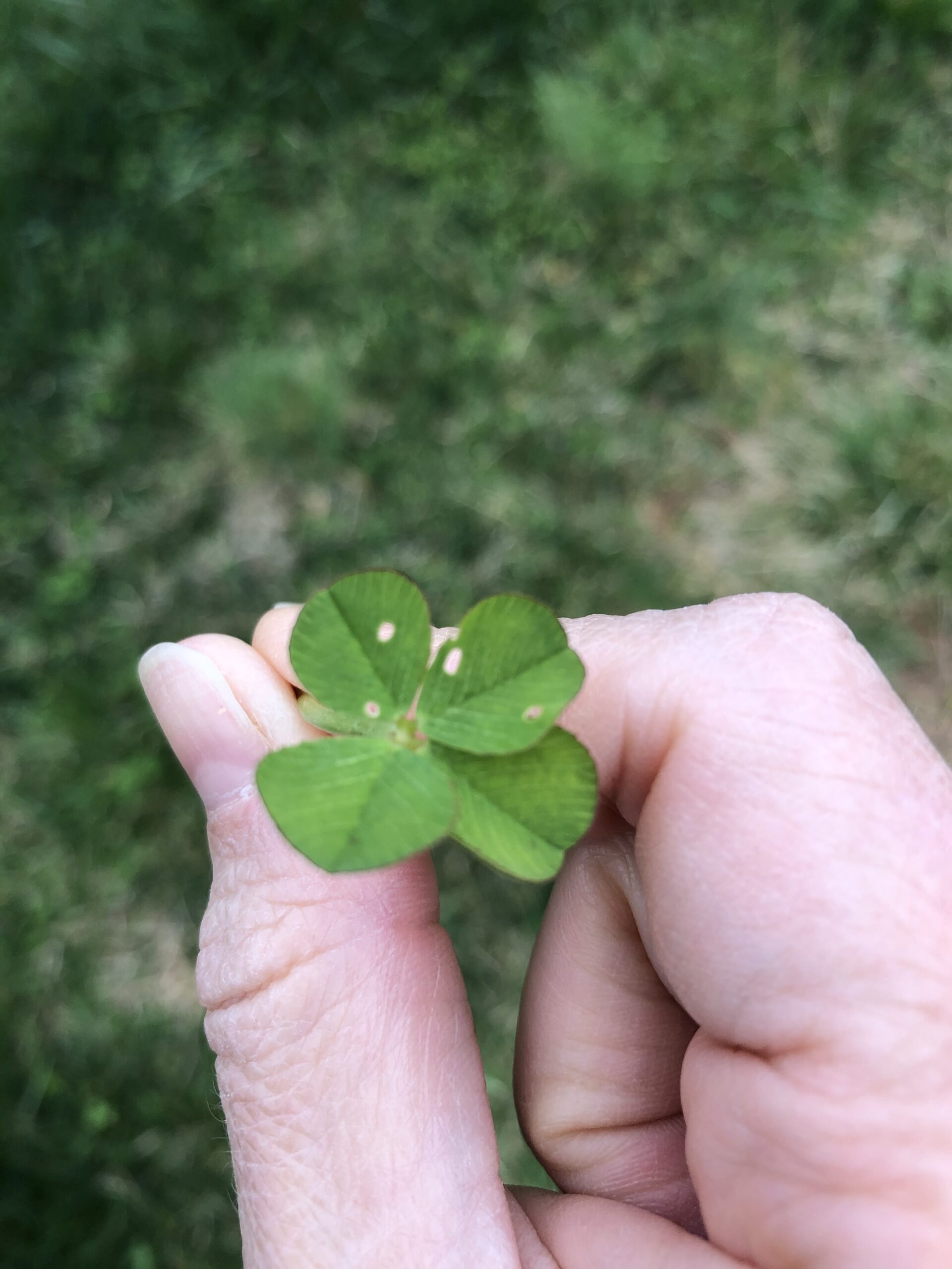 Happy St. Patrick’s Day!